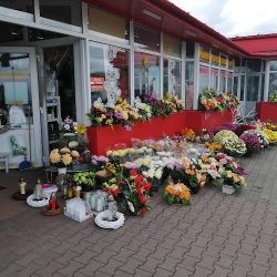 Kwiaciarnia Agnes (Rzeszów )