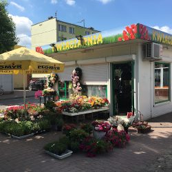 Kwiaciarnia Agnieszka Kurzyk (Opoczno )