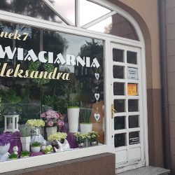 Kwiaciarnia Aleksandra (Odolanów en Merlo San Luis)
