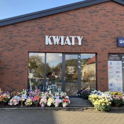 Kwiaciarnia Alexis Urszula Listwan (Stryszawa )