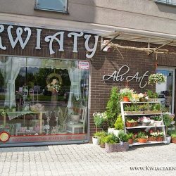 Kwiaciarnia Ali-art Matejki I Kwiatomat 24/7 (Racibórz )