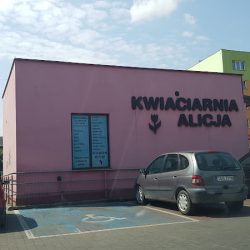 Kwiaciarnia Alicja (Ostrowiec Świętokrzyski )