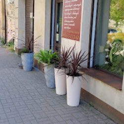 Kwiaciarnia Alicja (Siedlce )