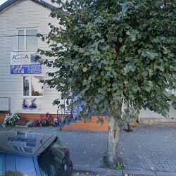 Kwiaciarnia Amarylis Teresa Misiewicz (Tuszyn )