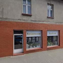 Kwiaciarnia Andrea (Koszęcin )