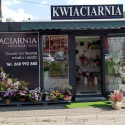Kwiaciarnia Andrychów Łucja Pająk Obok Kfc (Andrychów )