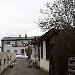 Kwiaciarnia Anemon (Dobrzyń nad Wisłą )