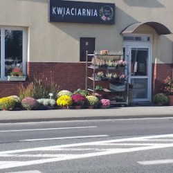 Kwiaciarnia Aneta Kowal (Rusiec )
