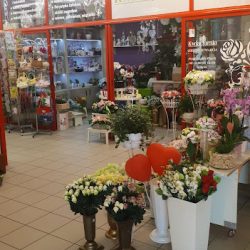 Kwiaciarnia Aneta Rączka (Oława )