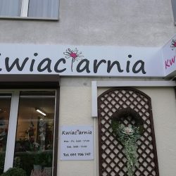 Kwiaciarnia Aneta (Siechnice )