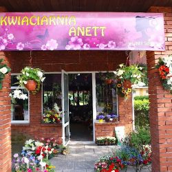 Kwiaciarnia Anett (Pionki )