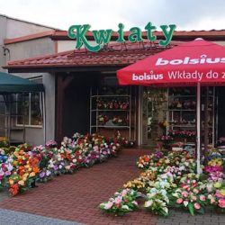 Kwiaciarnia Angelika Grams (Kochanowice )