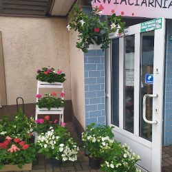 Kwiaciarnia ,,ania'' (Brzostek )