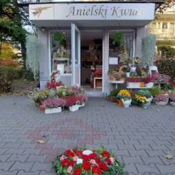 Kwiaciarnia Anielski Kwiat Gliwice (Gliwice )