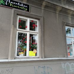 Kwiaciarnia Anielskie Kwiaty (Tarnów )