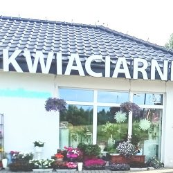 Kwiaciarnia AnioŁkowo (Koleczkowo )