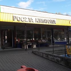 Kwiaciarnia Aniołowo Monika Głowacka (Zgorzelec )