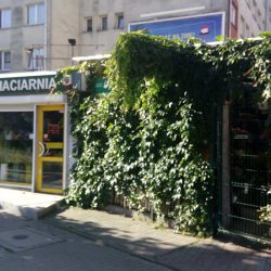 Kwiaciarnia „anna” (Wrocław )
