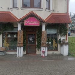 Kwiaciarnia Anna Mikołajczyk (Pasłęk )
