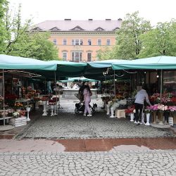 Kwiaciarnia Anna Nowicka Plac Solny Stoisko 14 (Wrocław )