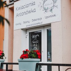 Kwiaciarnia Antonówka (Poznań )