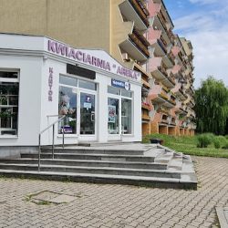 Kwiaciarnia Areka (Jelenia Góra )