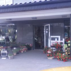 Kwiaciarnia Arleta Hampel (Bierzglinek en Merlo San Luis)