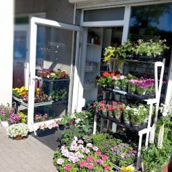 Kwiaciarnia Art Flowers (Wejherowo )