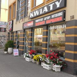 Kwiaciarnia Artystyczna