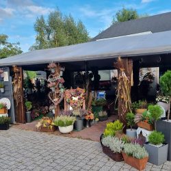 Kwiaciarnia Artystyczna Fiori (Piotrków Trybunalski )