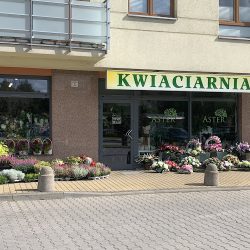 Kwiaciarnia