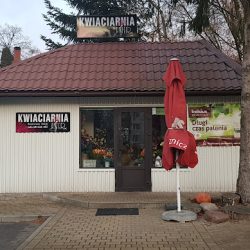 Kwiaciarnia Asterx M.zdziechowska (Puławy en Merlo San Luis)