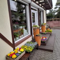 Kwiaciarnia Atena Luboń (Luboń en Merlo San Luis)