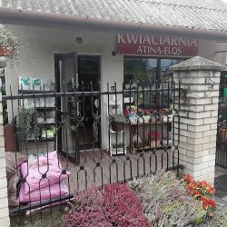 Kwiaciarnia Atina-flos Anita Jurkiewicz (Celestynów )