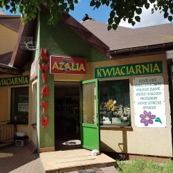 Kwiaciarnia Azalia (Puławy )
