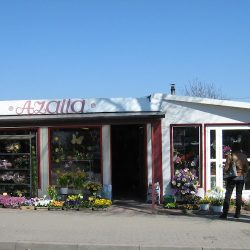 Kwiaciarnia Azalia (Radomsko )