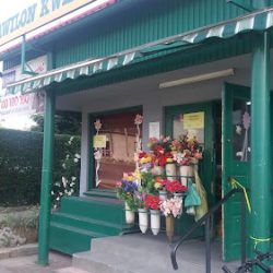 Kwiaciarnia Azalia (Wilkowice )