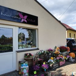 Kwiaciarnia Azalia - Czarków (Czarków )