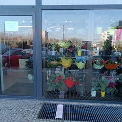 Kwiaciarnia Azalia Hotel Tychy (Tychy )