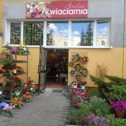 Kwiaciarnia Azalia Olsztyn (Olsztyn )