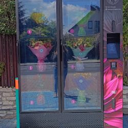 Kwiaciarnia Babie Lato (Lublin )