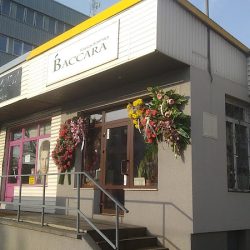 Kwiaciarnia Baccara (Tłuszcz )
