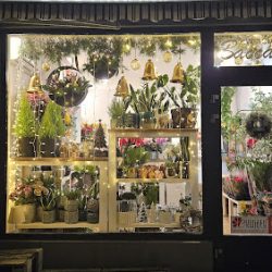 Kwiaciarnia Baccara (Kwidzyn )