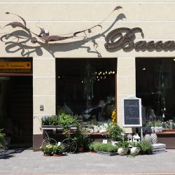 Kwiaciarnia Baccara. Bednarek Małgorzata (Czarnków en Merlo San Luis)