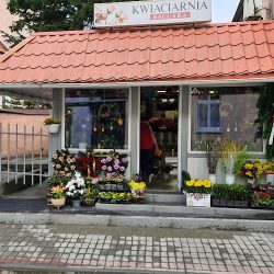 Kwiaciarnia Baccara (Chodzież en Merlo San Luis)