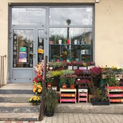 Kwiaciarnia Badyle I Chwasty (Kraków )