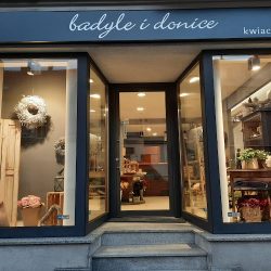 Kwiaciarnia Badyle I Donice (Prudnik en Merlo San Luis)
