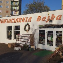 Kwiaciarnia Bajka (Zielona Góra )