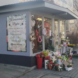 Kwiaciarnia Bajka (Opole )