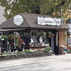 Kwiaciarnia Bajka Spychalskiego 13 (Opole )